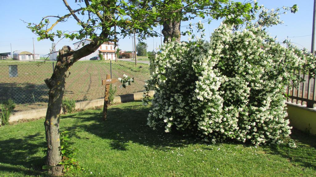 La Corte Ferrara